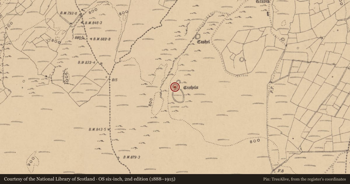 Ordnance Survey six-inch map, 2nd edition (1888–1915) covering the location of Cist, Tullyskeherny, County Leitrim, with a pin at the register's coordinates