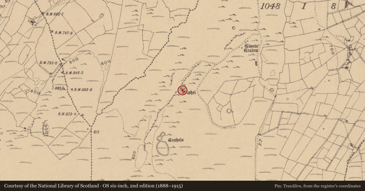 Ordnance Survey six-inch map, 2nd edition (1888–1915) covering the location of Ringfort - cashel, Tullyskeherny, County Leitrim, with a pin at the register's coordinates