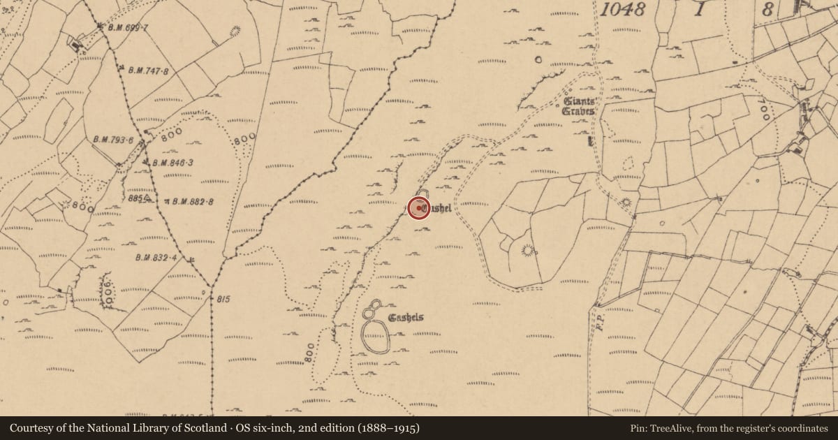 Ordnance Survey six-inch map, 2nd edition (1888–1915) covering the location of Hut site, Tullyskeherny, County Leitrim, with a pin at the register's coordinates