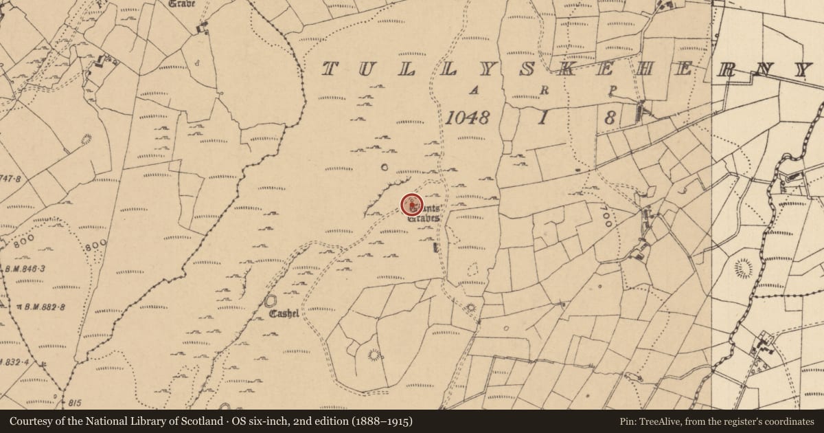 Ordnance Survey six-inch map, 2nd edition (1888–1915) covering the location of Megalithic tomb - court tomb, Tullyskeherny, County Leitrim, with a pin at the register's coordinates