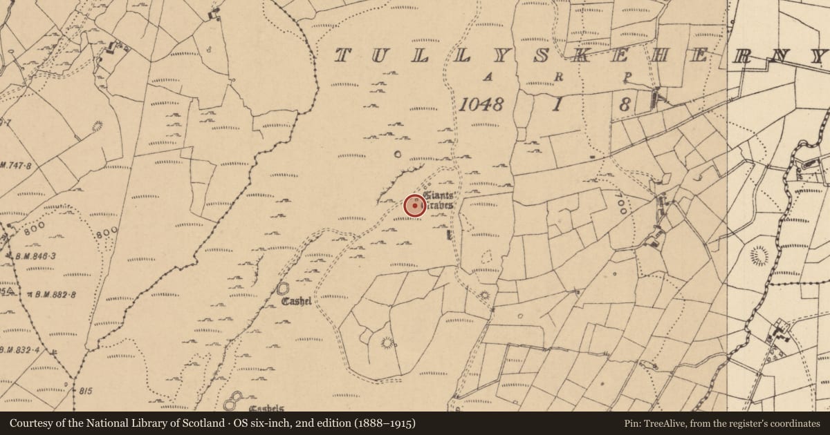 Ordnance Survey six-inch map, 2nd edition (1888–1915) covering the location of Megalithic tomb - court tomb, Tullyskeherny, County Leitrim, with a pin at the register's coordinates