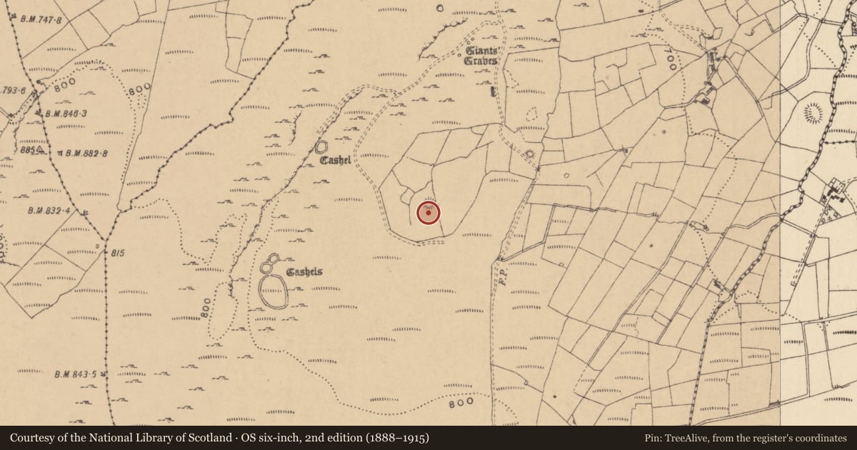 Ordnance Survey six-inch map, 2nd edition (1888–1915) covering the location of Enclosure, Tullyskeherny, County Leitrim, with a pin at the register's coordinates