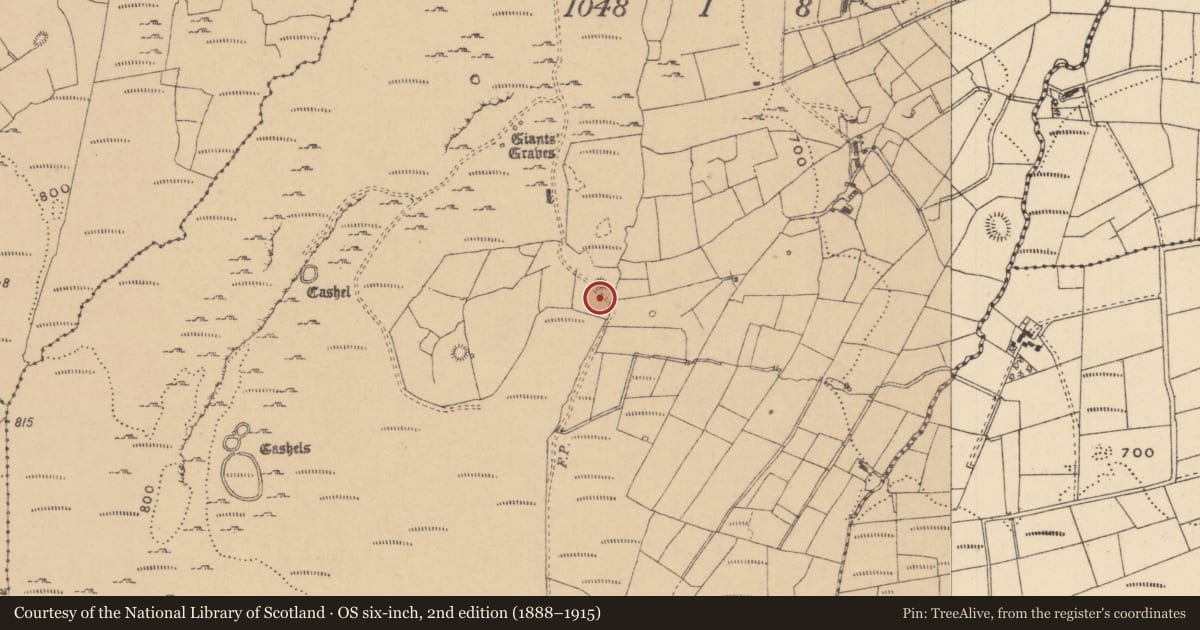 Ordnance Survey six-inch map, 2nd edition (1888–1915) covering the location of Hut site, Tullyskeherny, County Leitrim, with a pin at the register's coordinates