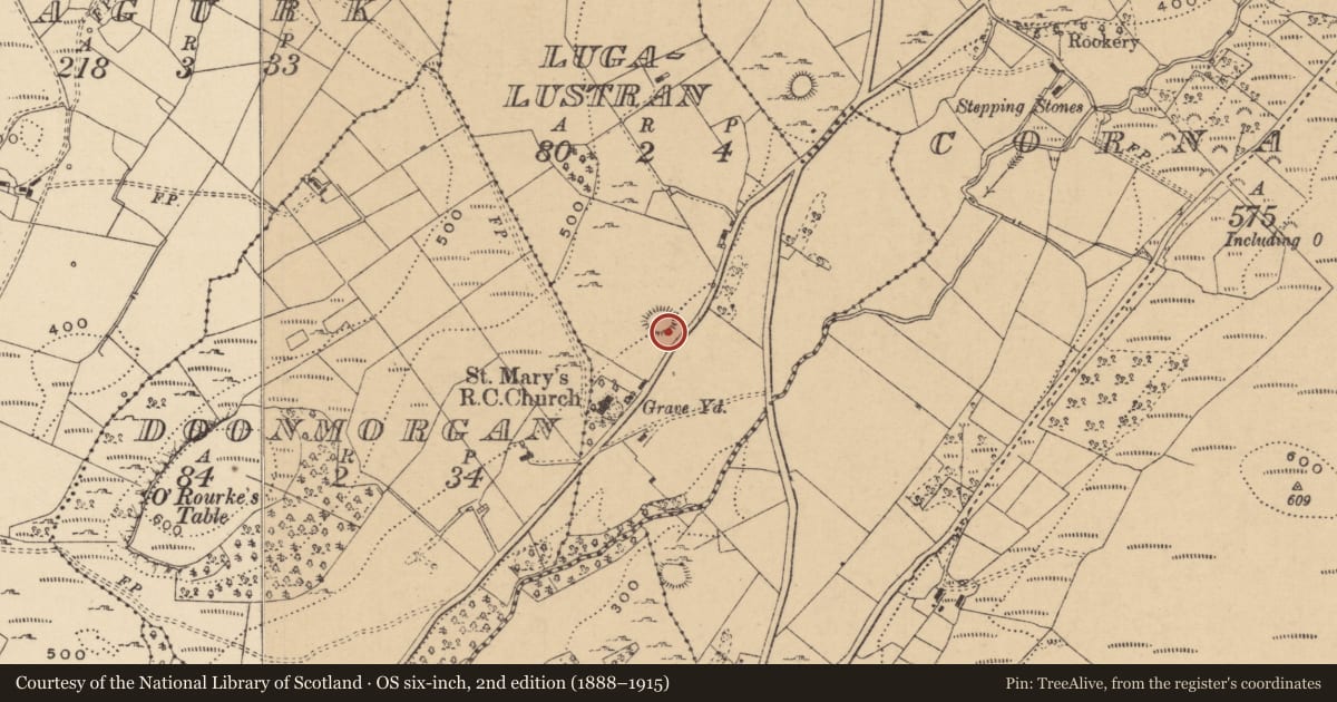 Ordnance Survey six-inch map, 2nd edition (1888–1915) covering the location of Ringfort - cashel, Lugalustran, County Leitrim, with a pin at the register's coordinates