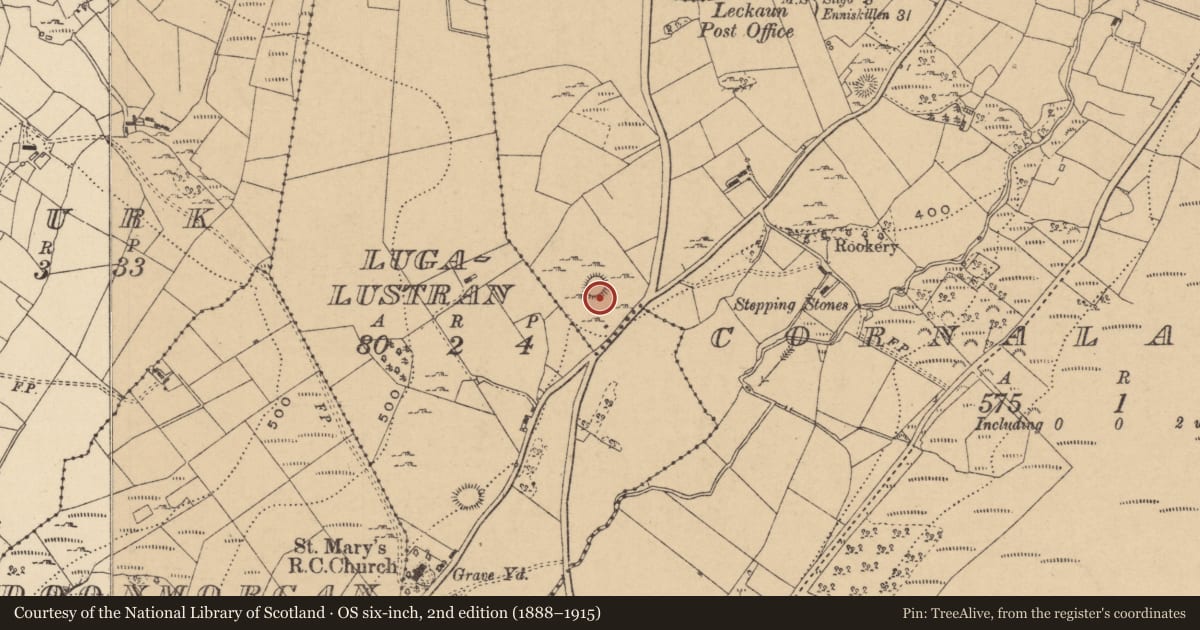 Ordnance Survey six-inch map, 2nd edition (1888–1915) covering the location of Ringfort - cashel, Cornalaghta, County Leitrim, with a pin at the register's coordinates