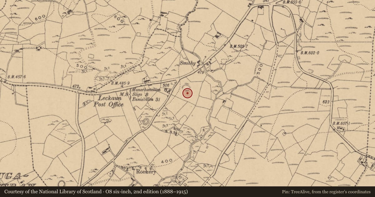 Ordnance Survey six-inch map, 2nd edition (1888–1915) covering the location of Ringfort - rath, Cornalaghta, County Leitrim, with a pin at the register's coordinates