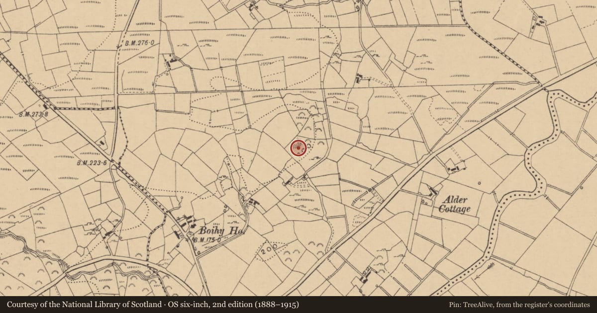 Ordnance Survey six-inch map, 2nd edition (1888–1915) covering the location of Ringfort - unclassified, Boihy, County Leitrim, with a pin at the register's coordinates