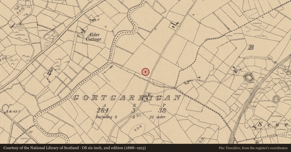 Ordnance Survey six-inch map, 2nd edition (1888–1915) covering the location of Mound, Gortgarrigan, County Leitrim, with a pin at the register's coordinates