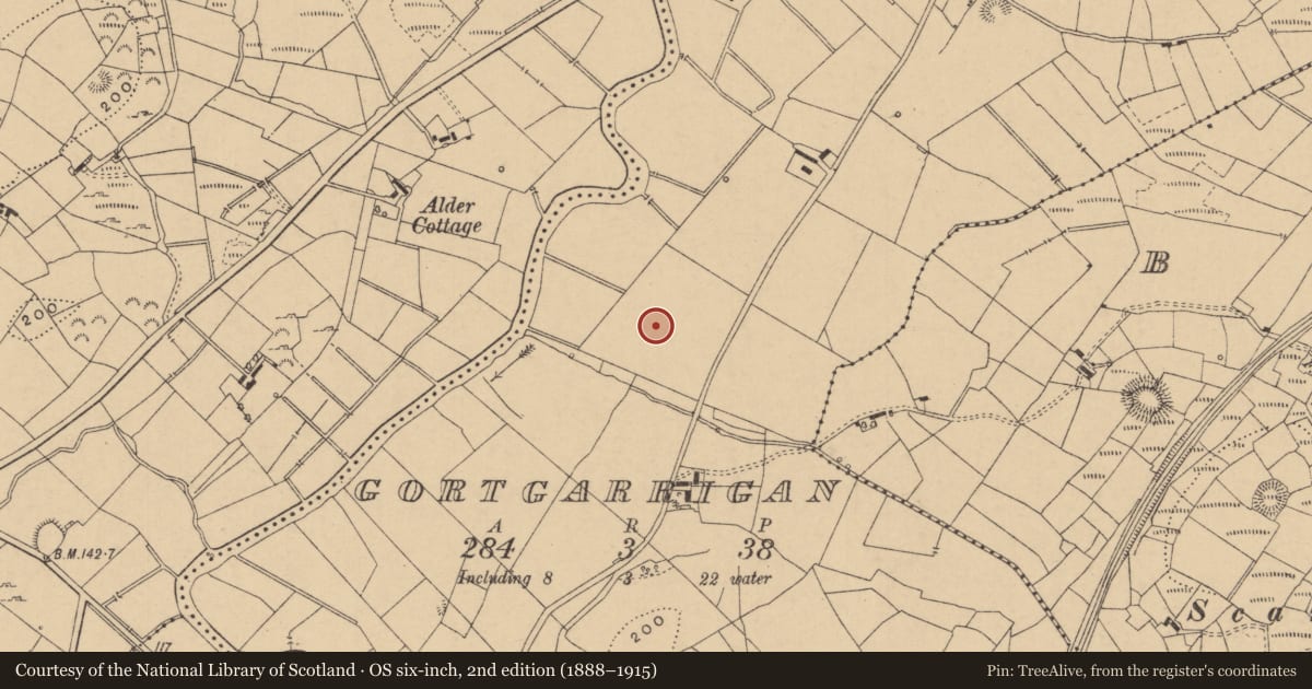 Ordnance Survey six-inch map, 2nd edition (1888–1915) covering the location of Enclosure, Gortgarrigan, County Leitrim, with a pin at the register's coordinates