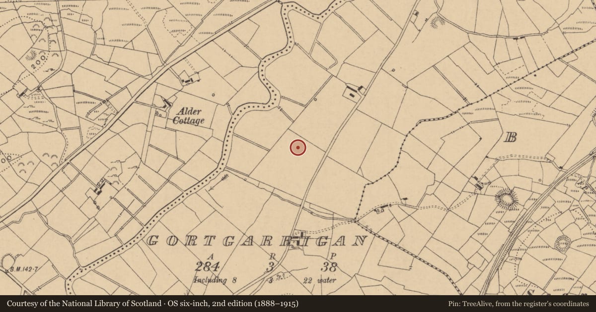 Ordnance Survey six-inch map, 2nd edition (1888–1915) covering the location of Enclosure, Gortgarrigan, County Leitrim, with a pin at the register's coordinates
