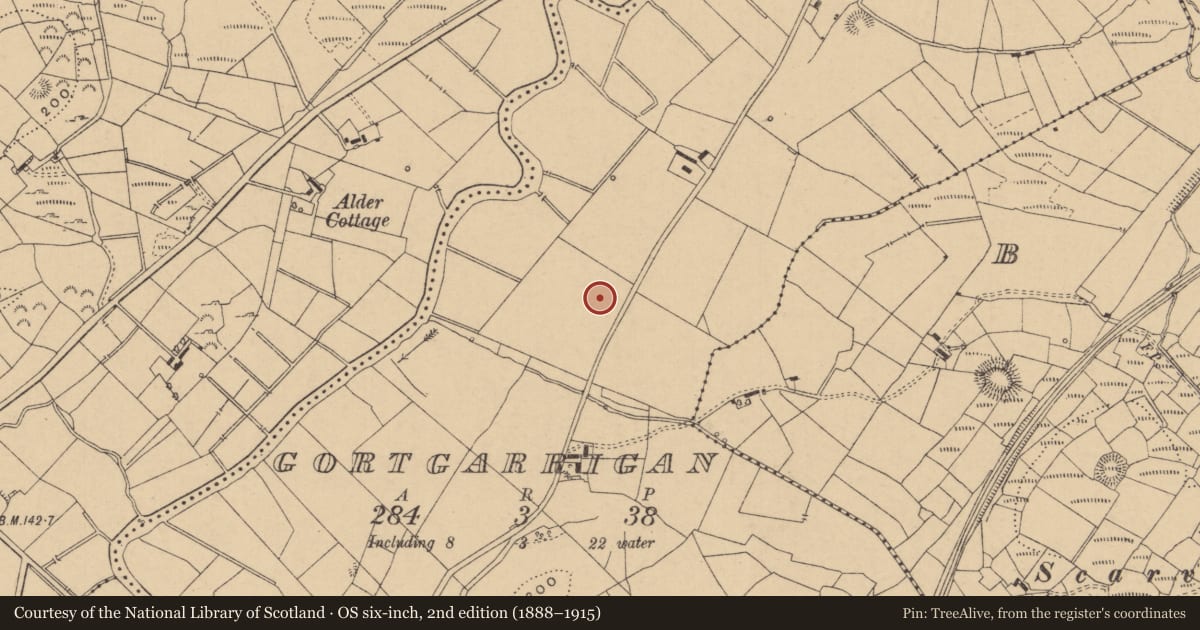 Ordnance Survey six-inch map, 2nd edition (1888–1915) covering the location of Mound, Gortgarrigan, County Leitrim, with a pin at the register's coordinates
