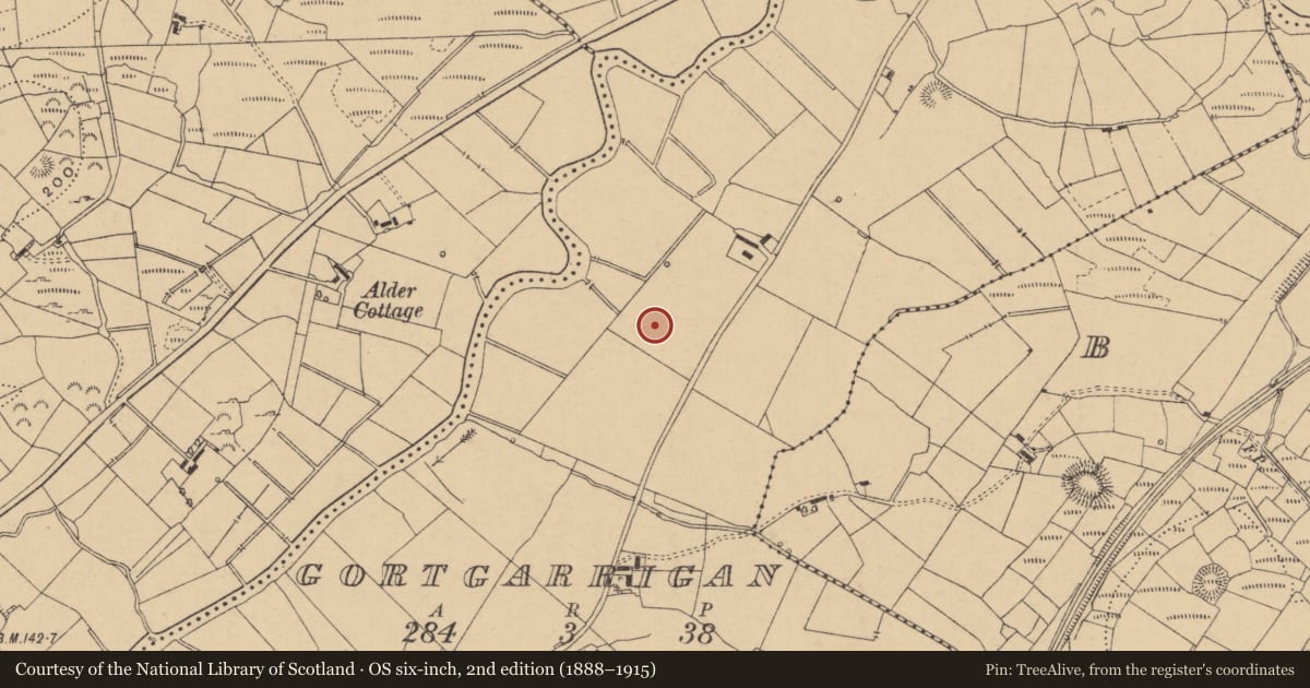 Ordnance Survey six-inch map, 2nd edition (1888–1915) covering the location of Barrow - ring-barrow, Gortgarrigan, County Leitrim, with a pin at the register's coordinates