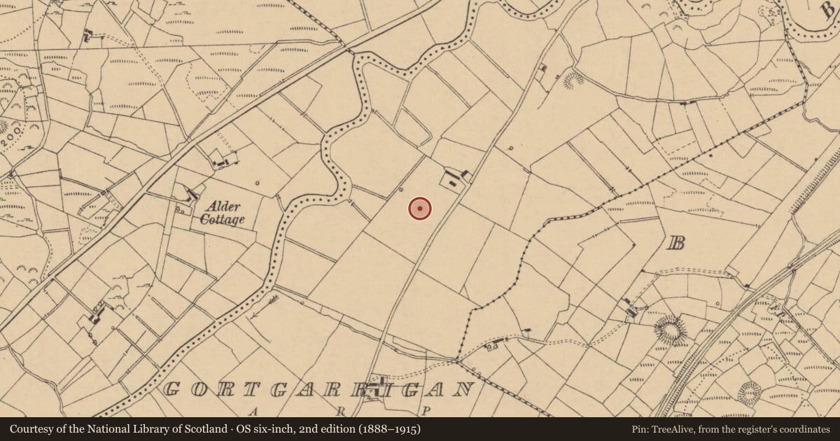 Ordnance Survey six-inch map, 2nd edition (1888–1915) covering the location of Mound, Gortgarrigan, County Leitrim, with a pin at the register's coordinates