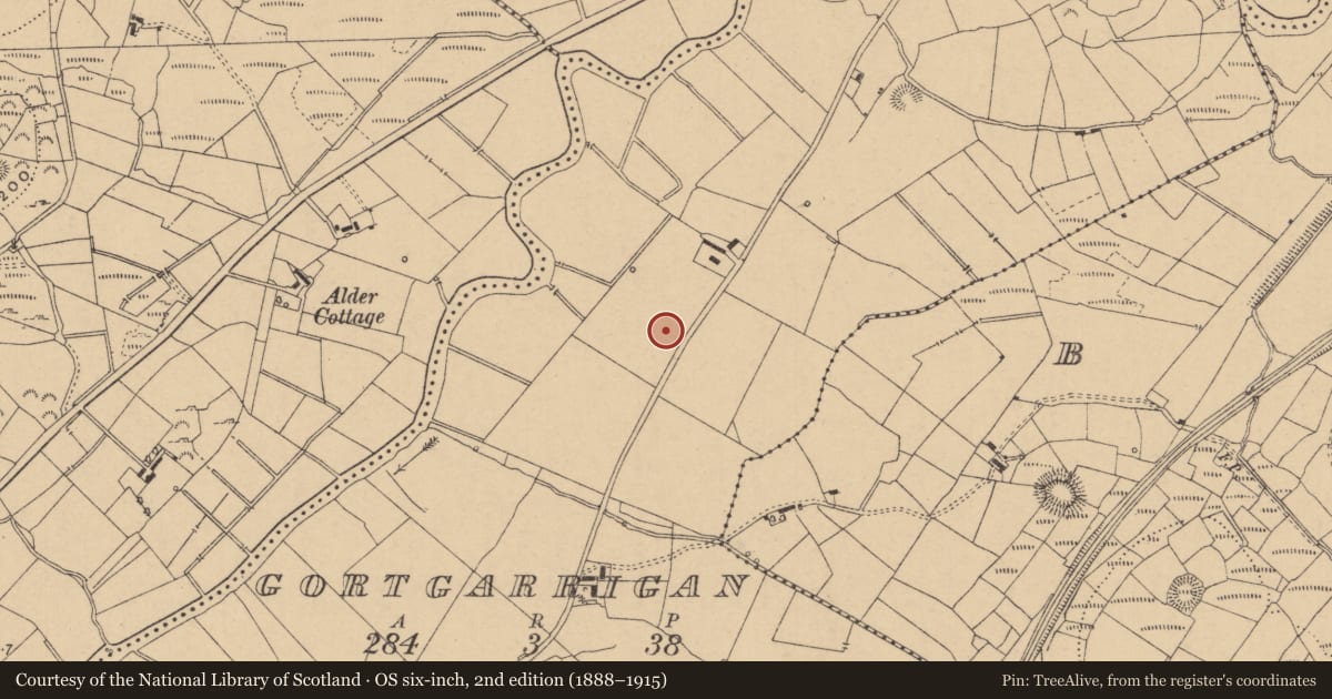 Ordnance Survey six-inch map, 2nd edition (1888–1915) covering the location of Field boundary, Gortgarrigan, County Leitrim, with a pin at the register's coordinates