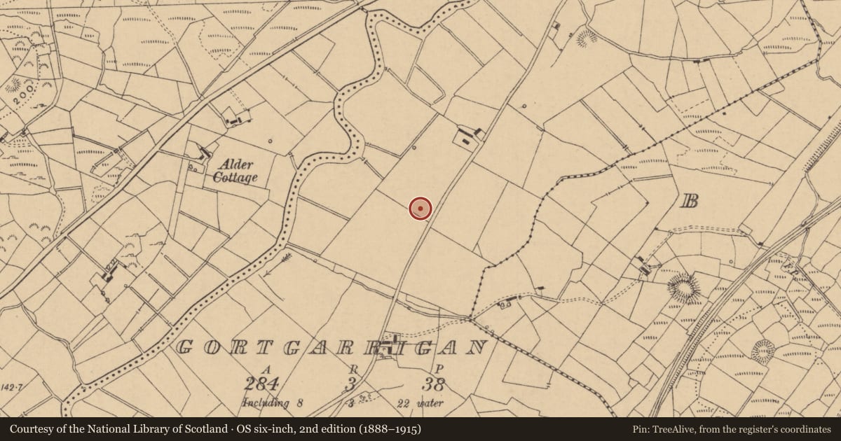 Ordnance Survey six-inch map, 2nd edition (1888–1915) covering the location of Mound, Gortgarrigan, County Leitrim, with a pin at the register's coordinates