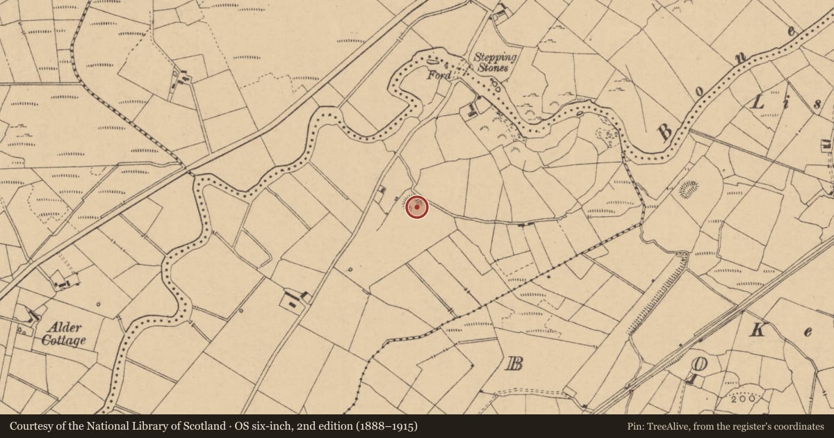 Ordnance Survey six-inch map, 2nd edition (1888–1915) covering the location of Ringfort - cashel, Gortgarrigan, County Leitrim, with a pin at the register's coordinates