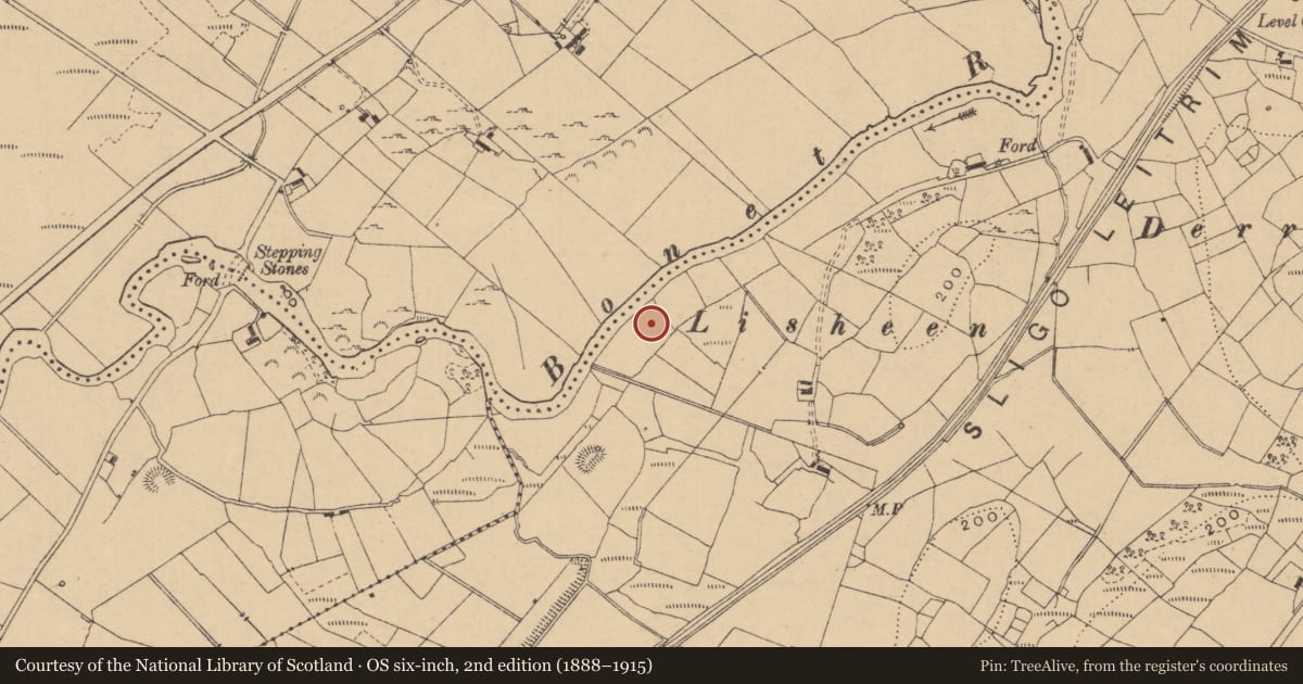 Ordnance Survey six-inch map, 2nd edition (1888–1915) covering the location of Ringfort - rath, Boggaun, County Leitrim, with a pin at the register's coordinates