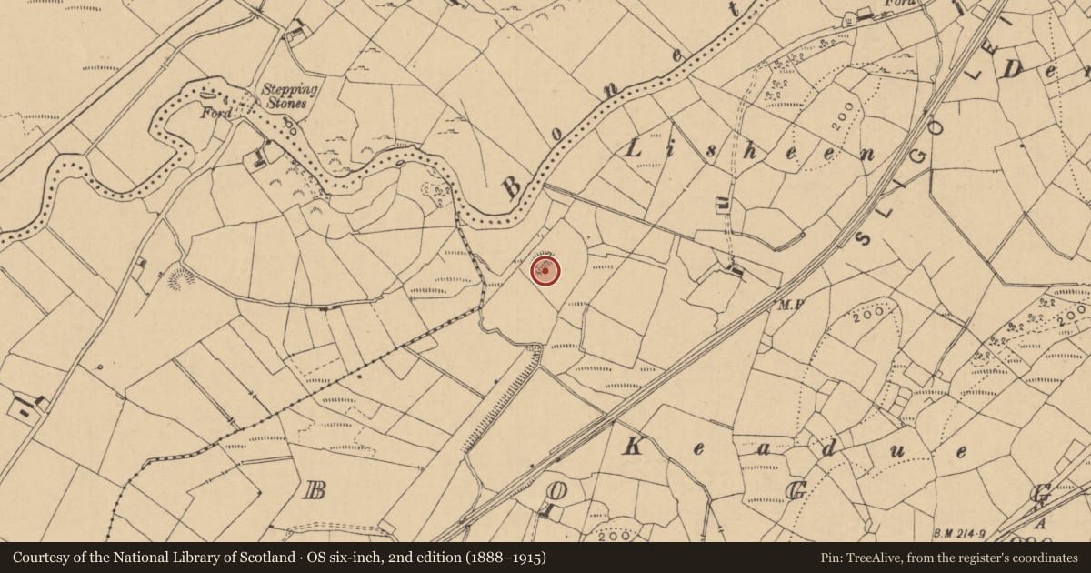 Ordnance Survey six-inch map, 2nd edition (1888–1915) covering the location of Ringfort - rath, Boggaun, County Leitrim, with a pin at the register's coordinates
