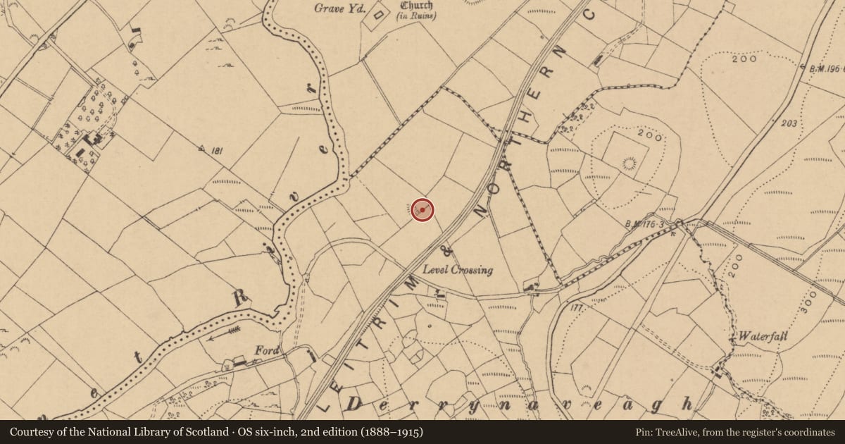 Ordnance Survey six-inch map, 2nd edition (1888–1915) covering the location of Ringfort - rath, Boggaun, County Leitrim, with a pin at the register's coordinates