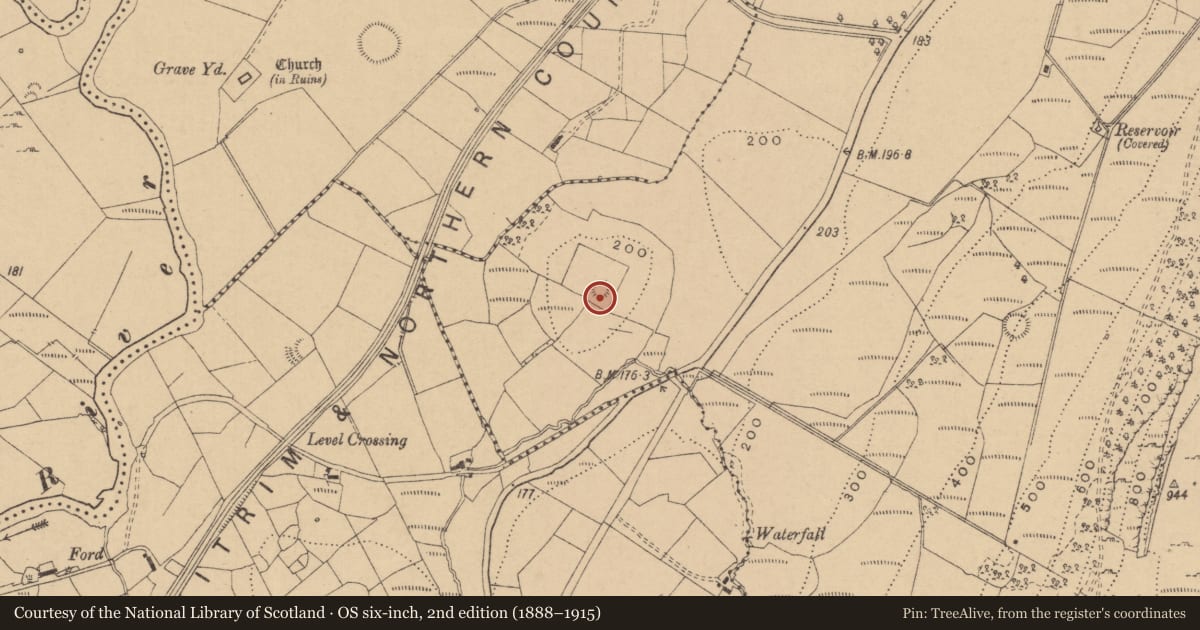 Ordnance Survey six-inch map, 2nd edition (1888–1915) covering the location of Enclosure, Larkfield, County Leitrim, with a pin at the register's coordinates