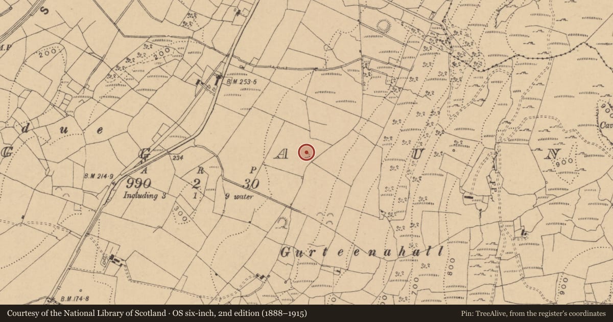 Ordnance Survey six-inch map, 2nd edition (1888–1915) covering the location of Enclosure, Boggaun, County Leitrim, with a pin at the register's coordinates
