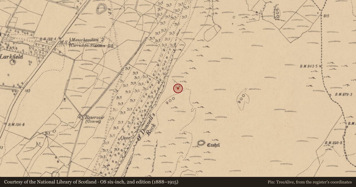 Ordnance Survey six-inch map, 2nd edition (1888–1915) covering the location of Ringfort - rath, Larkfield, County Leitrim, with a pin at the register's coordinates