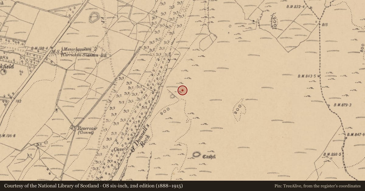 Ordnance Survey six-inch map, 2nd edition (1888–1915) covering the location of Booley hut, Larkfield, County Leitrim, with a pin at the register's coordinates