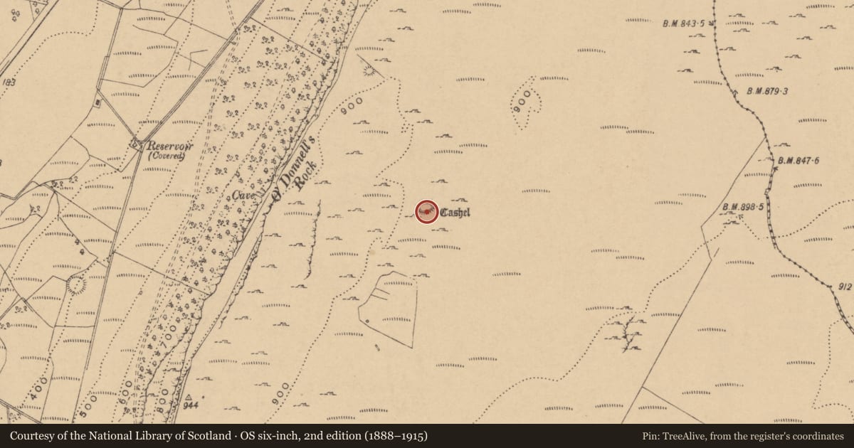Ordnance Survey six-inch map, 2nd edition (1888–1915) covering the location of Ringfort - cashel, Larkfield, County Leitrim, with a pin at the register's coordinates