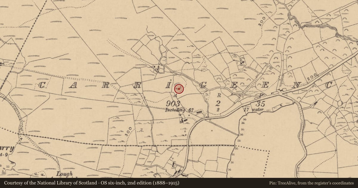 Ordnance Survey six-inch map, 2nd edition (1888–1915) covering the location of Ringfort - rath, Carrigeencor, County Leitrim, with a pin at the register's coordinates