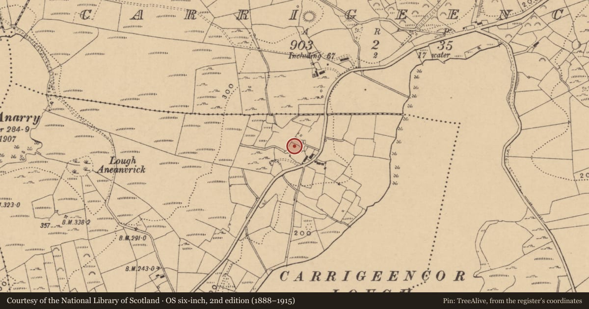 Ordnance Survey six-inch map, 2nd edition (1888–1915) covering the location of Enclosure, Kilcoosy, County Leitrim, with a pin at the register's coordinates
