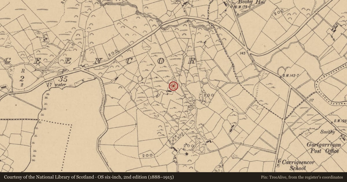 Ordnance Survey six-inch map, 2nd edition (1888–1915) covering the location of Enclosure, Carrigeencor, County Leitrim, with a pin at the register's coordinates