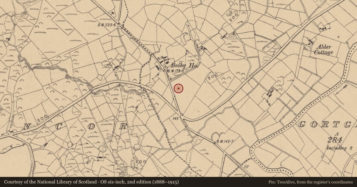 Ordnance Survey six-inch map, 2nd edition (1888–1915) covering the location of Fulacht fia, Boihy, County Leitrim, with a pin at the register's coordinates