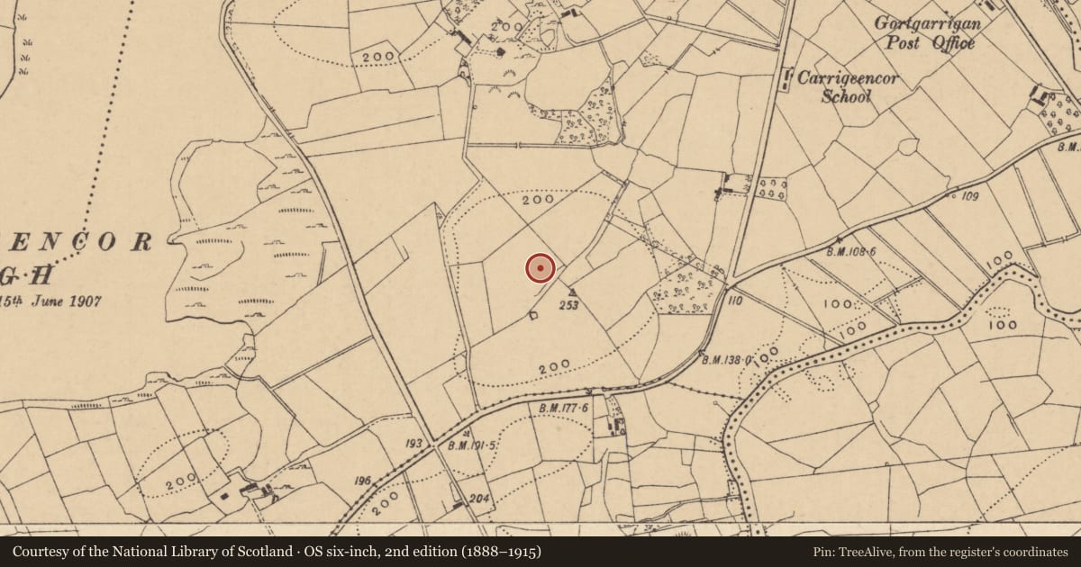 Ordnance Survey six-inch map, 2nd edition (1888–1915) covering the location of Ringfort - rath, Carrigeencor, County Leitrim, with a pin at the register's coordinates