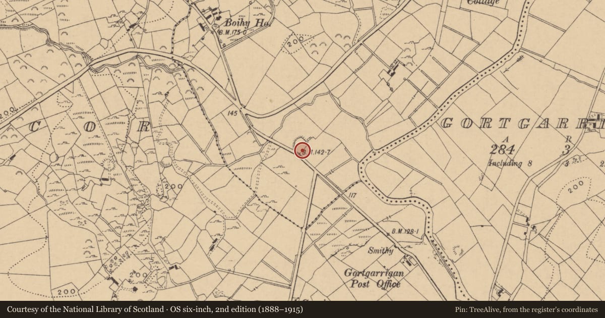 Ordnance Survey six-inch map, 2nd edition (1888–1915) covering the location of Ringfort - rath, Boihy, County Leitrim, with a pin at the register's coordinates