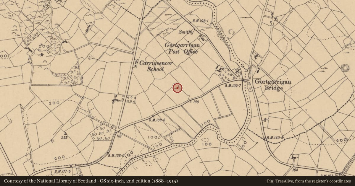 Ordnance Survey six-inch map, 2nd edition (1888–1915) covering the location of Enclosure, Carrigeencor, County Leitrim, with a pin at the register's coordinates