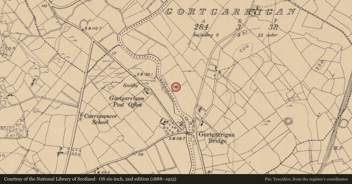Ordnance Survey six-inch map, 2nd edition (1888–1915) covering the location of Earthwork, Gortgarrigan, County Leitrim, with a pin at the register's coordinates