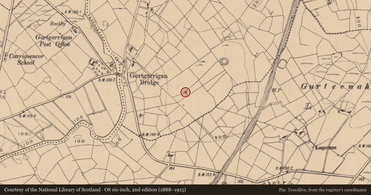 Ordnance Survey six-inch map, 2nd edition (1888–1915) covering the location of Ringfort - rath, Gortgarrigan, County Leitrim, with a pin at the register's coordinates