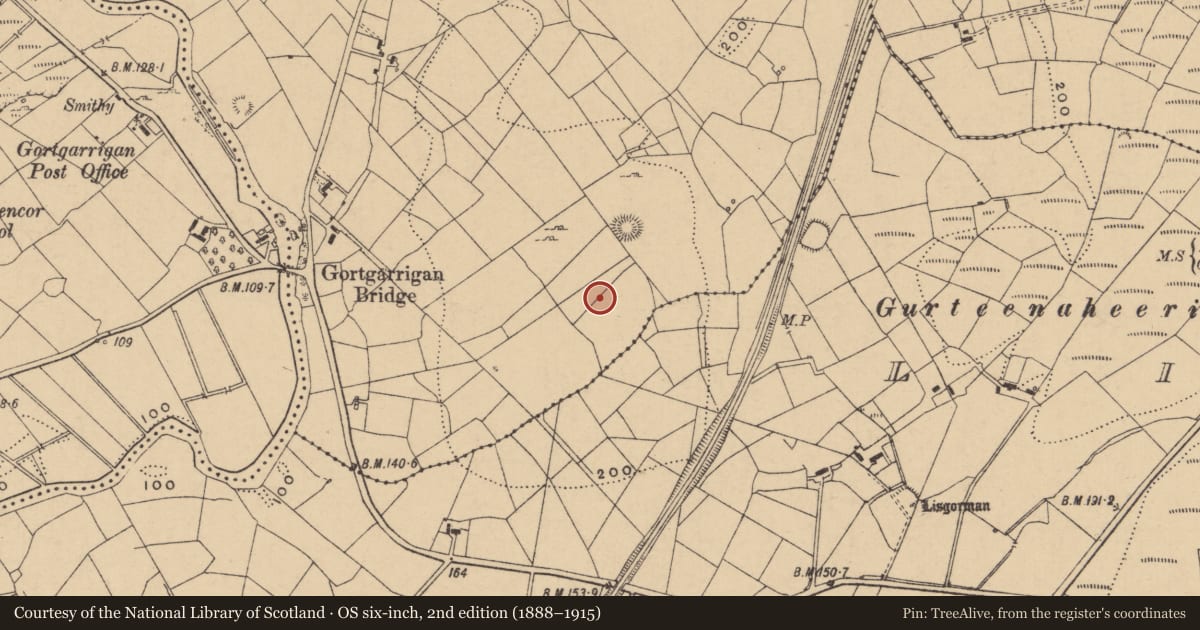 Ordnance Survey six-inch map, 2nd edition (1888–1915) covering the location of Ringfort - rath, Gortgarrigan, County Leitrim, with a pin at the register's coordinates