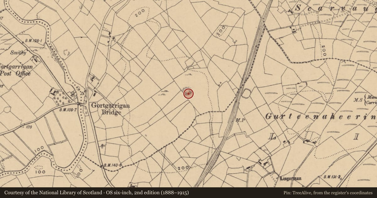 Ordnance Survey six-inch map, 2nd edition (1888–1915) covering the location of Ringfort - rath, Gortgarrigan, County Leitrim, with a pin at the register's coordinates