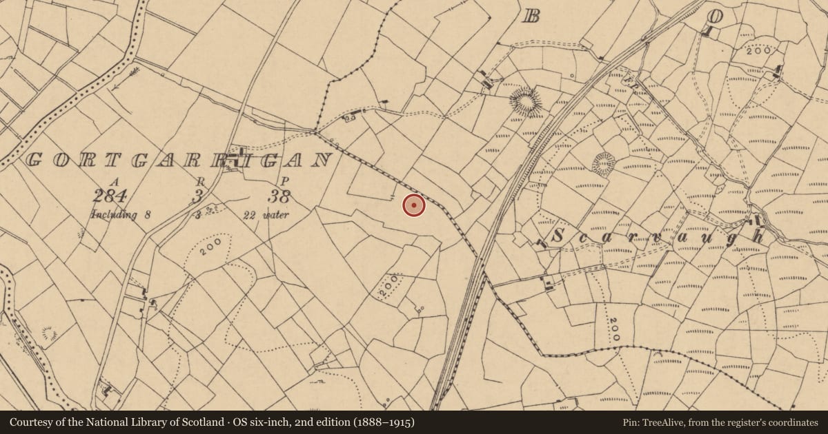Ordnance Survey six-inch map, 2nd edition (1888–1915) covering the location of Mound, Gortgarrigan, County Leitrim, with a pin at the register's coordinates