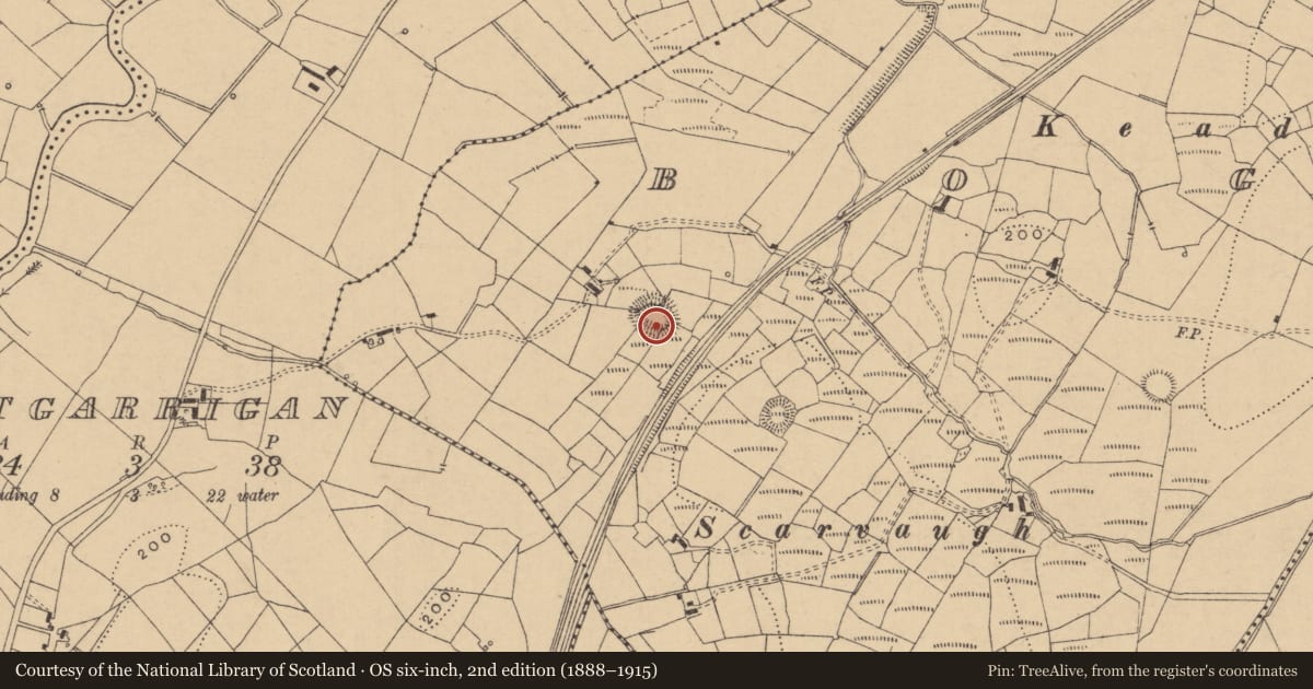 Ordnance Survey six-inch map, 2nd edition (1888–1915) covering the location of Ringfort - rath, Boggaun, County Leitrim, with a pin at the register's coordinates