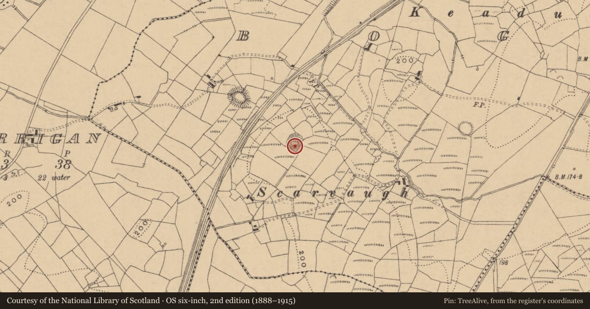 Ordnance Survey six-inch map, 2nd edition (1888–1915) covering the location of Ringfort - rath, Boggaun, County Leitrim, with a pin at the register's coordinates