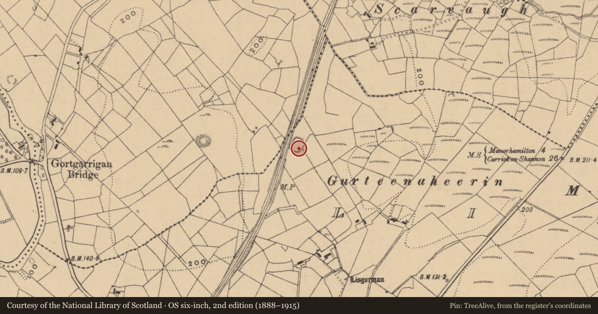 Ordnance Survey six-inch map, 2nd edition (1888–1915) covering the location of Ringfort - rath, Lisgorman, County Leitrim, with a pin at the register's coordinates