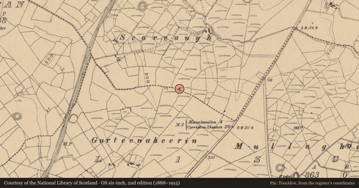 Ordnance Survey six-inch map, 2nd edition (1888–1915) covering the location of Ringfort - rath, Boggaun, County Leitrim, with a pin at the register's coordinates