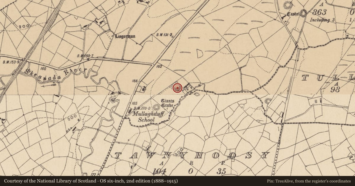Ordnance Survey six-inch map, 2nd edition (1888–1915) covering the location of Ringfort - rath, Lisgorman, County Leitrim, with a pin at the register's coordinates