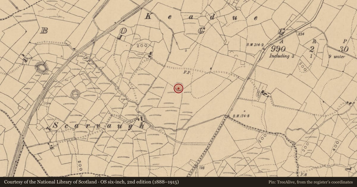Ordnance Survey six-inch map, 2nd edition (1888–1915) covering the location of Ringfort - rath, Boggaun, County Leitrim, with a pin at the register's coordinates