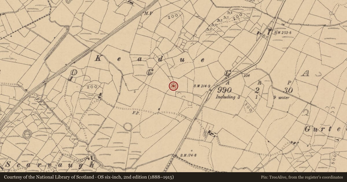 Ordnance Survey six-inch map, 2nd edition (1888–1915) covering the location of Enclosure, Boggaun, County Leitrim, with a pin at the register's coordinates