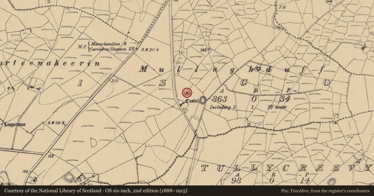 Ordnance Survey six-inch map, 2nd edition (1888–1915) covering the location of Ringfort - rath, Lisgorman, County Leitrim, with a pin at the register's coordinates