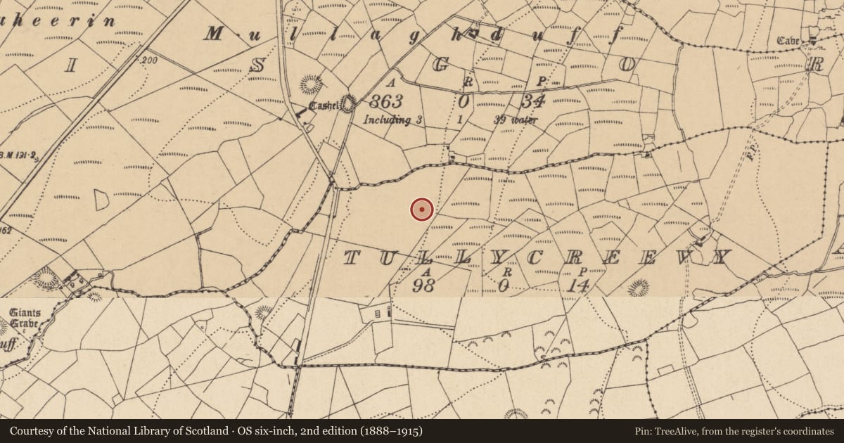 Ordnance Survey six-inch map, 2nd edition (1888–1915) covering the location of Ringfort - rath, Tullycreevy, County Leitrim, with a pin at the register's coordinates