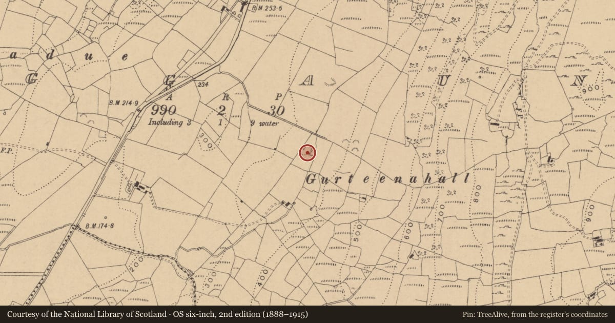 Ordnance Survey six-inch map, 2nd edition (1888–1915) covering the location of Enclosure, Boggaun, County Leitrim, with a pin at the register's coordinates